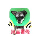 Do life（個別スタンプ：5）