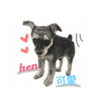 Do life（個別スタンプ：6）