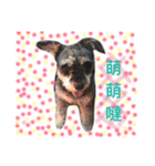 Do life（個別スタンプ：7）