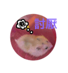 cute honey mouse（個別スタンプ：5）