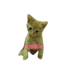Rourou coming（個別スタンプ：1）