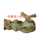 Rourou coming（個別スタンプ：4）