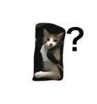 Mixs（個別スタンプ：1）