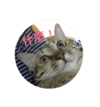 Mixs（個別スタンプ：4）