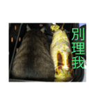Mixs（個別スタンプ：7）