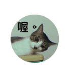 Mixs（個別スタンプ：9）