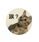 Mixs（個別スタンプ：10）
