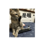 Mixs（個別スタンプ：11）