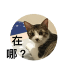 Mixs（個別スタンプ：16）