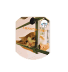 south cat（個別スタンプ：9）