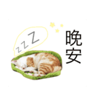 my name is Pudding（個別スタンプ：2）