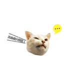 my name is Pudding（個別スタンプ：3）