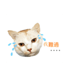 my name is Pudding（個別スタンプ：5）