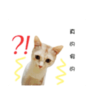 my name is Pudding（個別スタンプ：10）