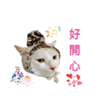 my name is Pudding（個別スタンプ：13）