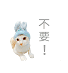 my name is Pudding（個別スタンプ：14）