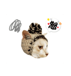 my name is Pudding（個別スタンプ：15）