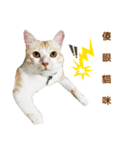 my name is Pudding（個別スタンプ：16）