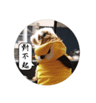 MoMo is a dog（個別スタンプ：3）