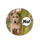 MoMo is a dog（個別スタンプ：7）