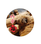 MoMo is a dog（個別スタンプ：35）