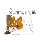 Paw Jai ＆ Paw Dee, Little Paw（個別スタンプ：30）