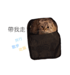 I am steamed bread（個別スタンプ：7）