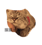 I am steamed bread（個別スタンプ：8）