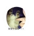 I am steamed bread（個別スタンプ：14）