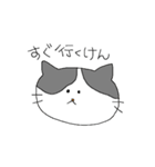方言ねこちゃん（個別スタンプ：2）