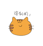 方言ねこちゃん（個別スタンプ：5）
