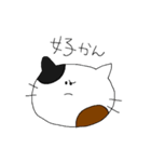 方言ねこちゃん（個別スタンプ：10）