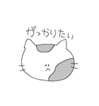 方言ねこちゃん（個別スタンプ：15）