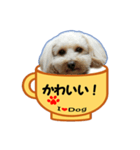 犬の毎日6（個別スタンプ：2）