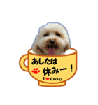 犬の毎日6（個別スタンプ：4）