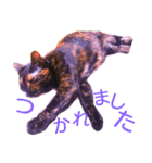 にゃるまげスタンプ（個別スタンプ：3）