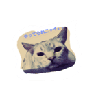 ゆる猫家族（個別スタンプ：1）