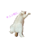 ゆる猫家族（個別スタンプ：2）