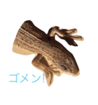 カナヘビ3兄弟②（個別スタンプ：2）
