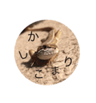 カナヘビ3兄弟②（個別スタンプ：4）