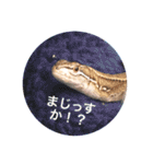 カナヘビ3兄弟②（個別スタンプ：6）