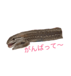 カナヘビ3兄弟②（個別スタンプ：7）