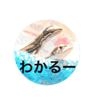 カナヘビ3兄弟②（個別スタンプ：9）