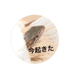 カナヘビ3兄弟②（個別スタンプ：10）