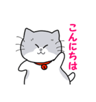 ぽちゃねこ はる吉（個別スタンプ：5）