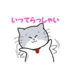 ぽちゃねこ はる吉（個別スタンプ：21）