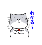 ぽちゃねこ はる吉（個別スタンプ：36）