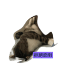 attitudelife（個別スタンプ：4）