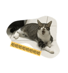 attitudelife（個別スタンプ：13）