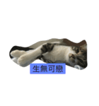 attitudelife（個別スタンプ：14）